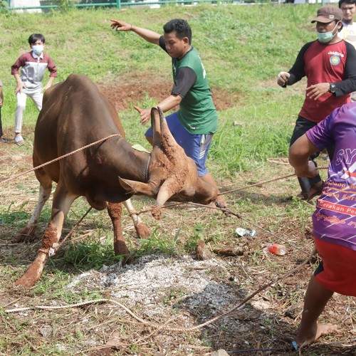 Photo #6623381