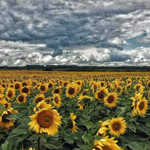 Photo #6623542