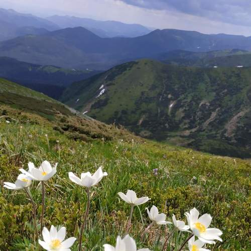 Photo #6623604