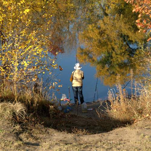 Photo #6623646