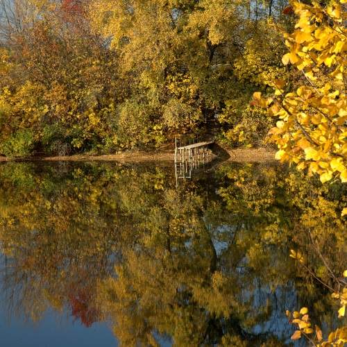 Photo #6623658