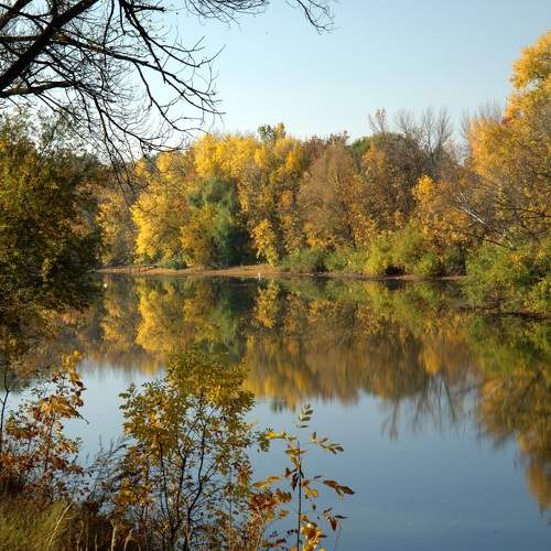 Photo #6623666