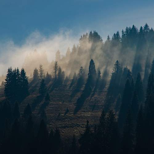 Morning in the countryside