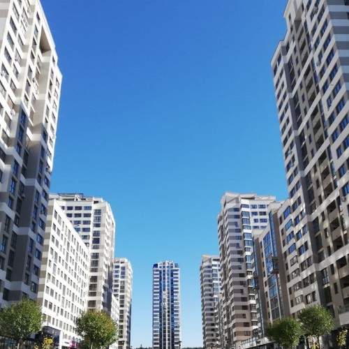 Photo #6624106