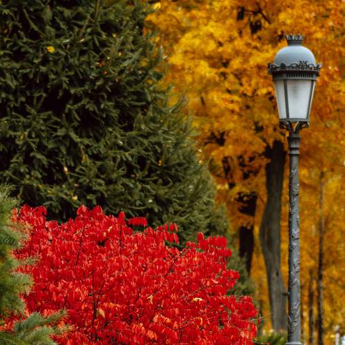 Photo #6624409