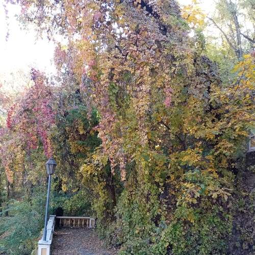 Photo #6624554