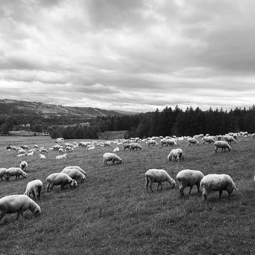 Photo #6624698