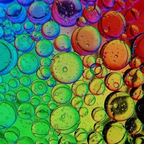 Photo #6625328