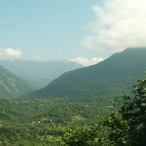 Photo #6625343