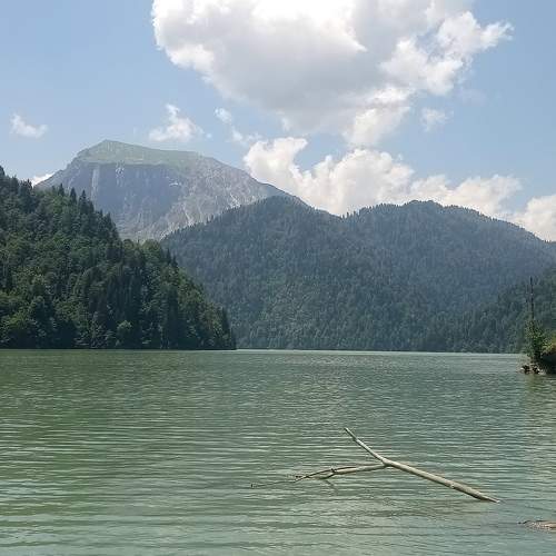 Photo #6625363
