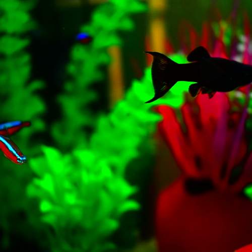 Photo #6625438