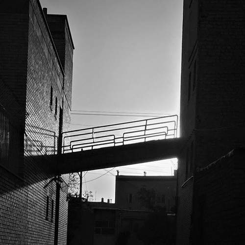 Photo #6625830