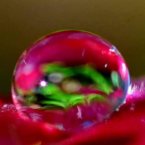 Photo #6625851