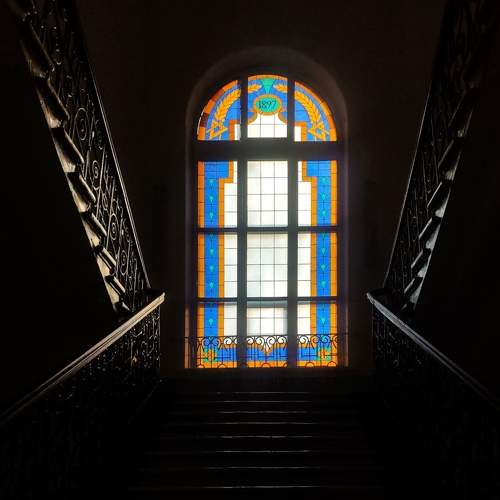 Photo #6625949