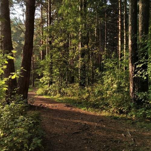 Photo #6626202