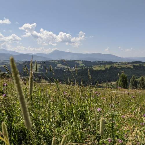 Photo #6626412