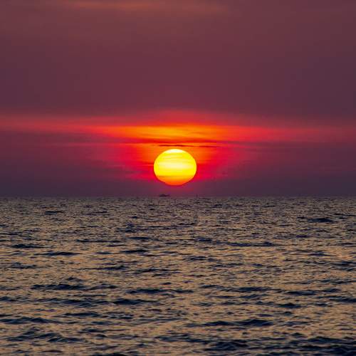 Photo #6626503