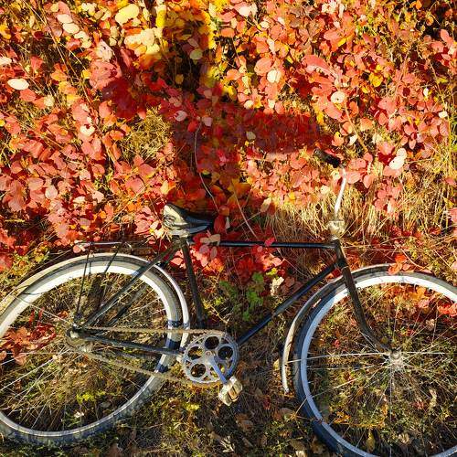 Photo #6626504