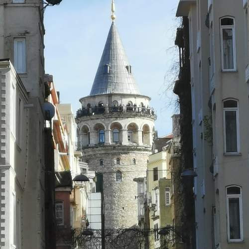 Photo #6626571