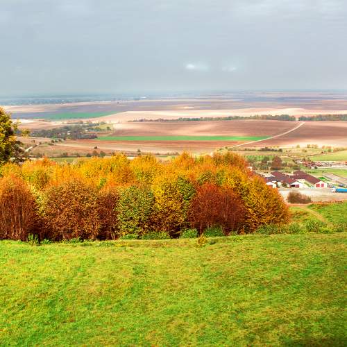 Photo #6626601