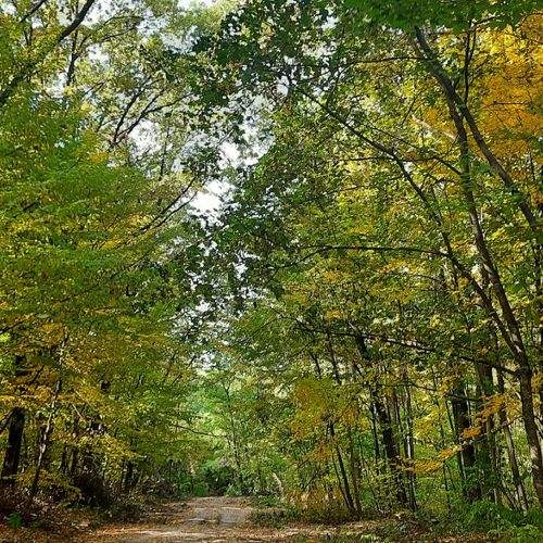 Photo #6626876