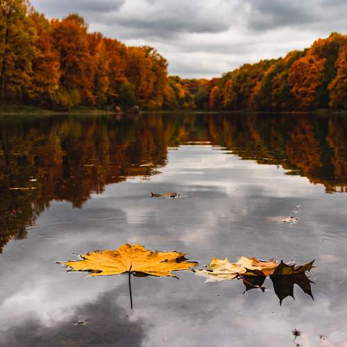 Photo #6626917