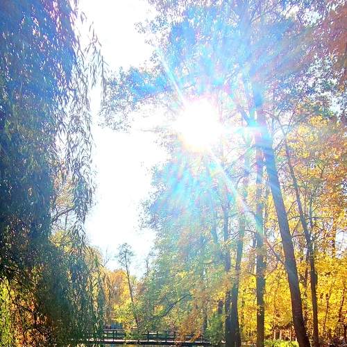 Photo #6626957