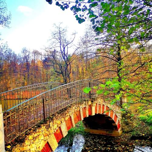 Photo #6626958