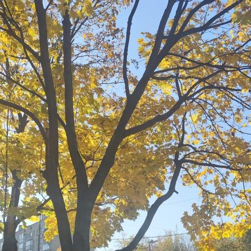 Photo #6626959