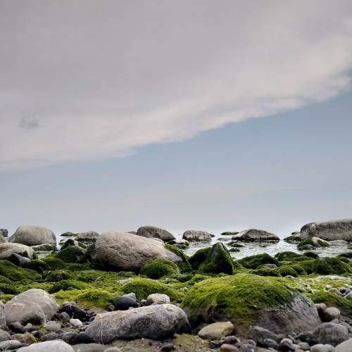Photo #6627008