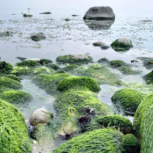 Photo #6627009