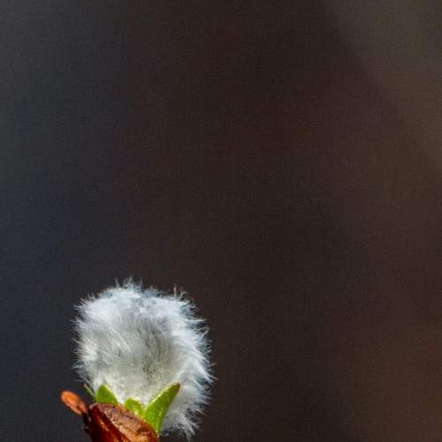 Photo #6627235
