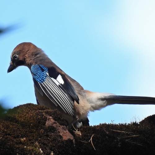 Photo #6627244