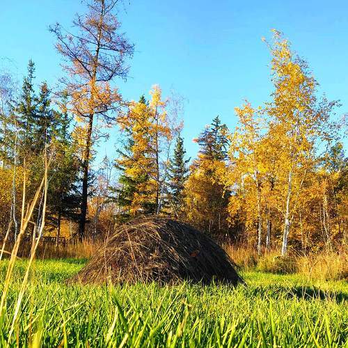Photo #6627486