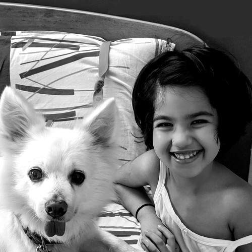Photo #6627702