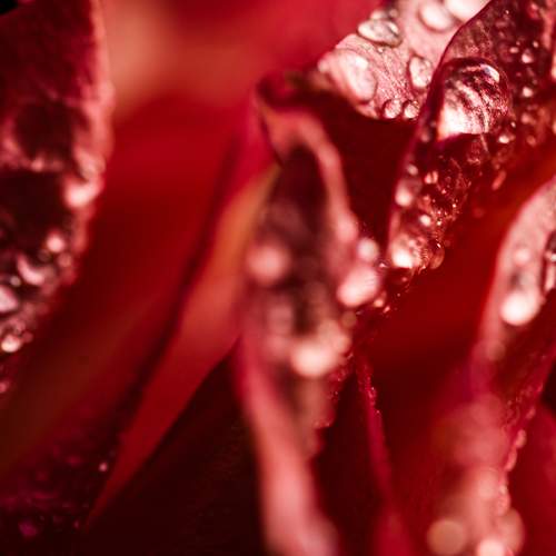 Photo #6627968