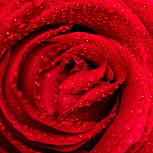 Photo #6627973