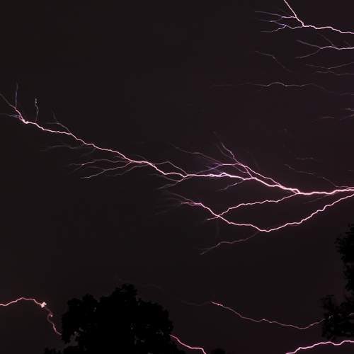 Photo #6628069