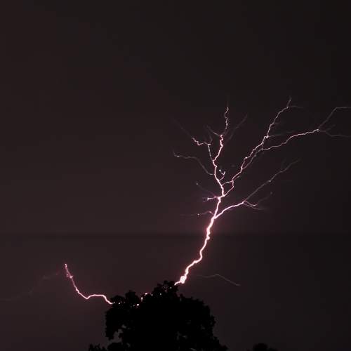 Photo #6628070