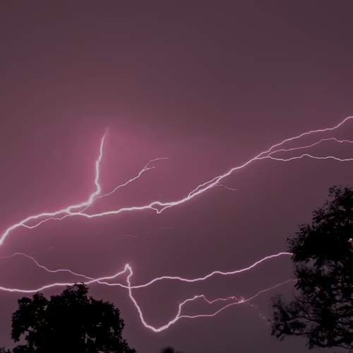 Photo #6628071