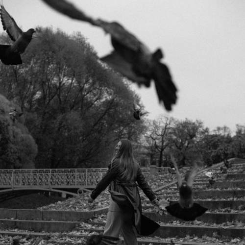 Photo #6628082