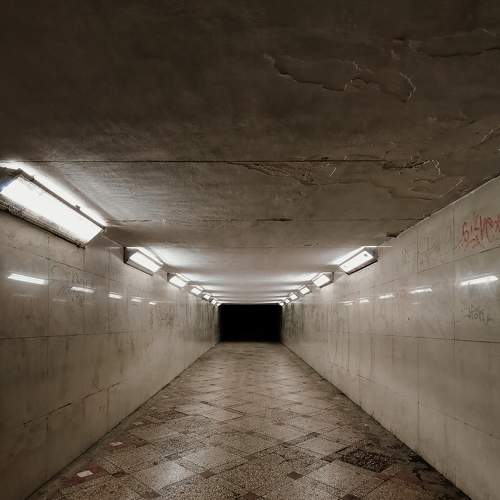 Photo #6628230