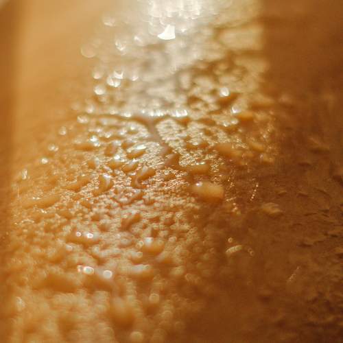 Photo #6628515