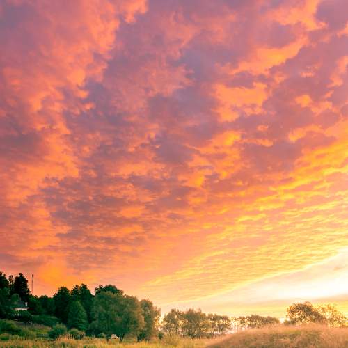 Photo #6628599