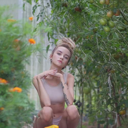 Photo #6628622