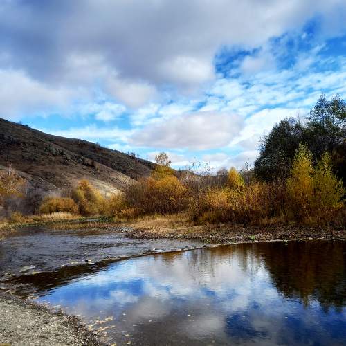 Photo #6628745