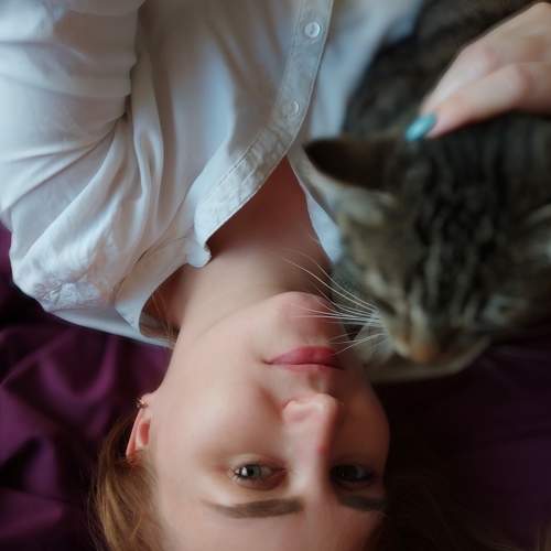 Photo #6628848