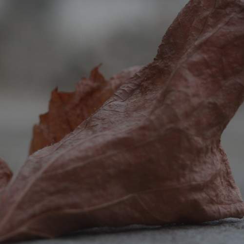Photo #6628868