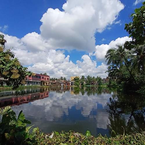 Photo #6628903