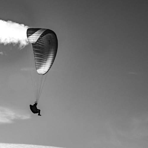 Photo #6628962
